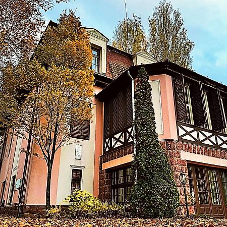 Party Villa Holiday Rent Balatonföldvár Buitenkant foto