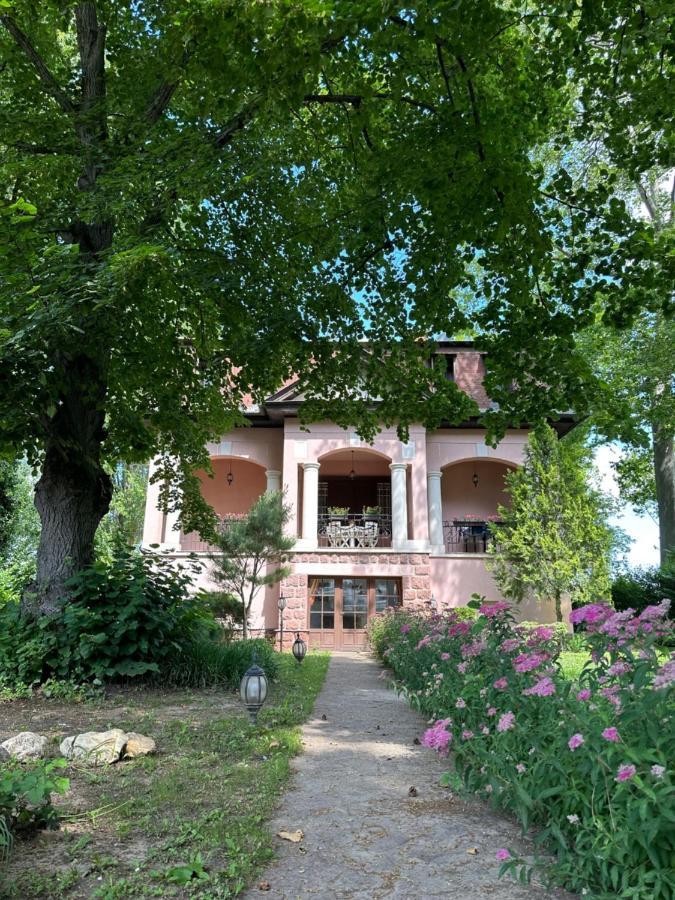 Party Villa Holiday Rent Balatonföldvár Buitenkant foto