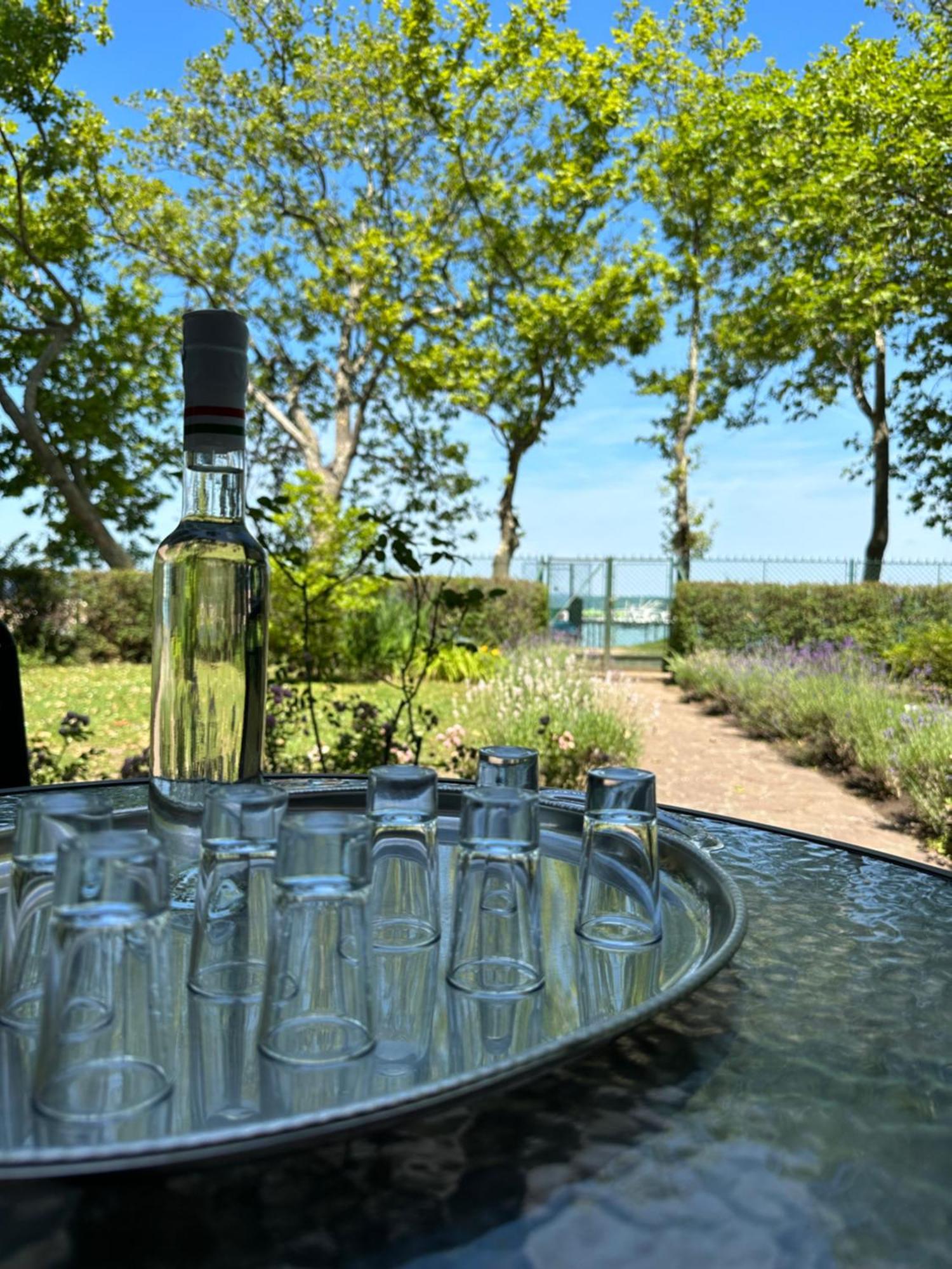 Party Villa Holiday Rent Balatonföldvár Buitenkant foto